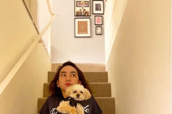 階段に座る男性と犬